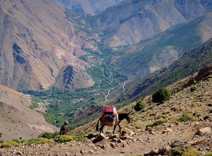 Top Rated Mt Toubkal Trek 2 days, 3 days Toubkal ascent Imlil Atlas Mountains Hikes. Imlil Treks 2022. Tours from Marrakech, Grand Tours Casablanca