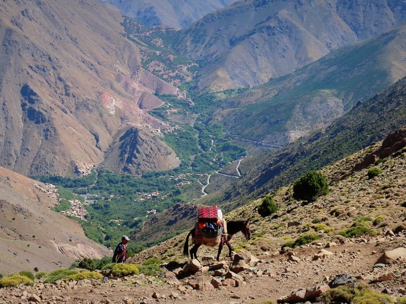 Top Rated Mt Toubkal Trek 2 days, 3 days Toubkal ascent Imlil Atlas Mountains Hikes. Imlil Treks 2022. Tours from Marrakech, Grand Tours Casablanca